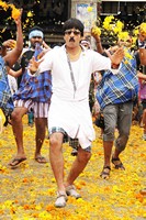 Daruvu Latest Stills